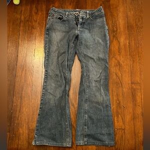 Vintage Silver Brand Low-Rise Jeans